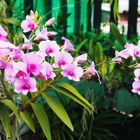 Kaloang Home Bangkok Kültér fotó