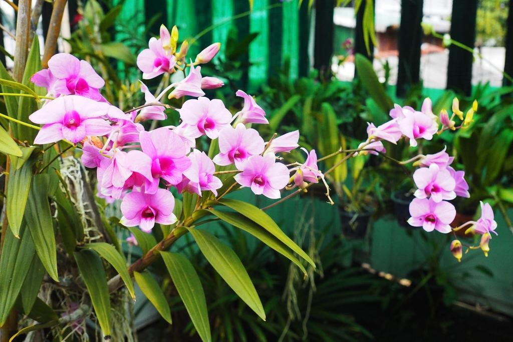 Kaloang Home Bangkok Kültér fotó
